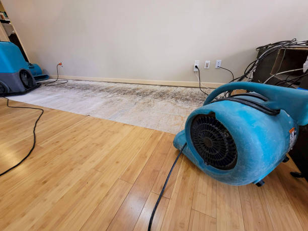 Professional Structural Drying technician working in Arvin, CA